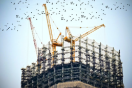 construction work with birds flying