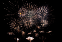 Top 25 Industry Profiles for 2021 fireworks