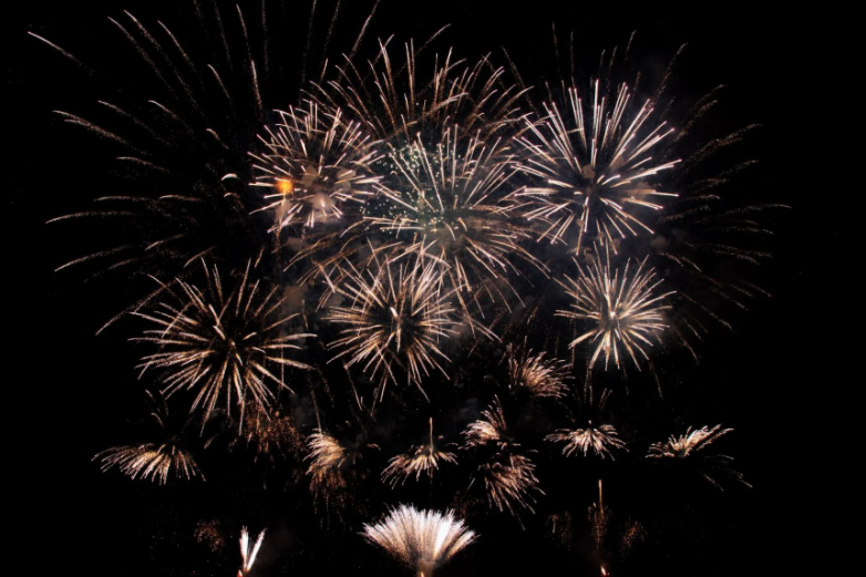 Top 25 Industry Profiles for 2021 fireworks