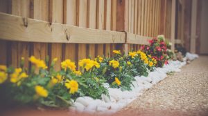 flowerbed; landscaping services