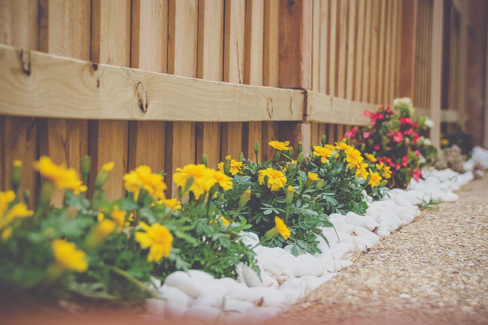 flowerbed; landscaping services
