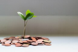 private equity ; seed money concept