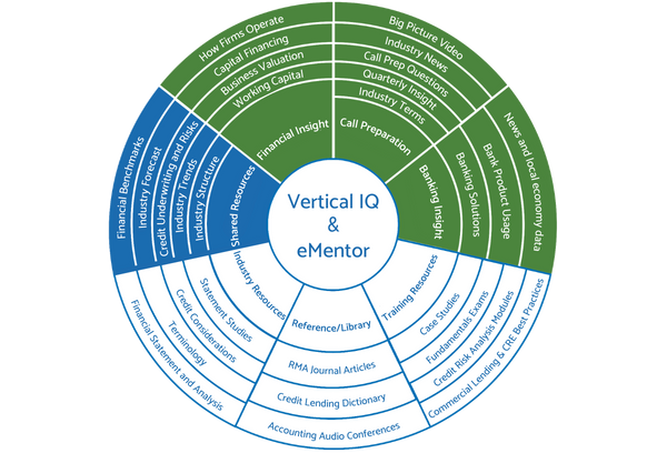 VIQ + eMentor graphic