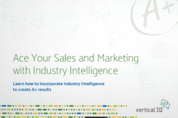 Ace Your Sales and Marketing with Industry Intelligence