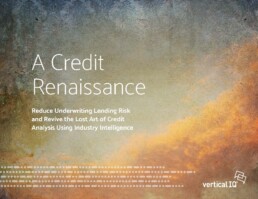 A Credit Renaissance: Reduce Underwriting Lending Risks