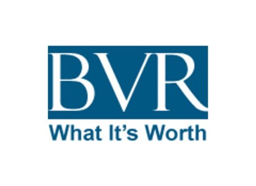 BVR logo