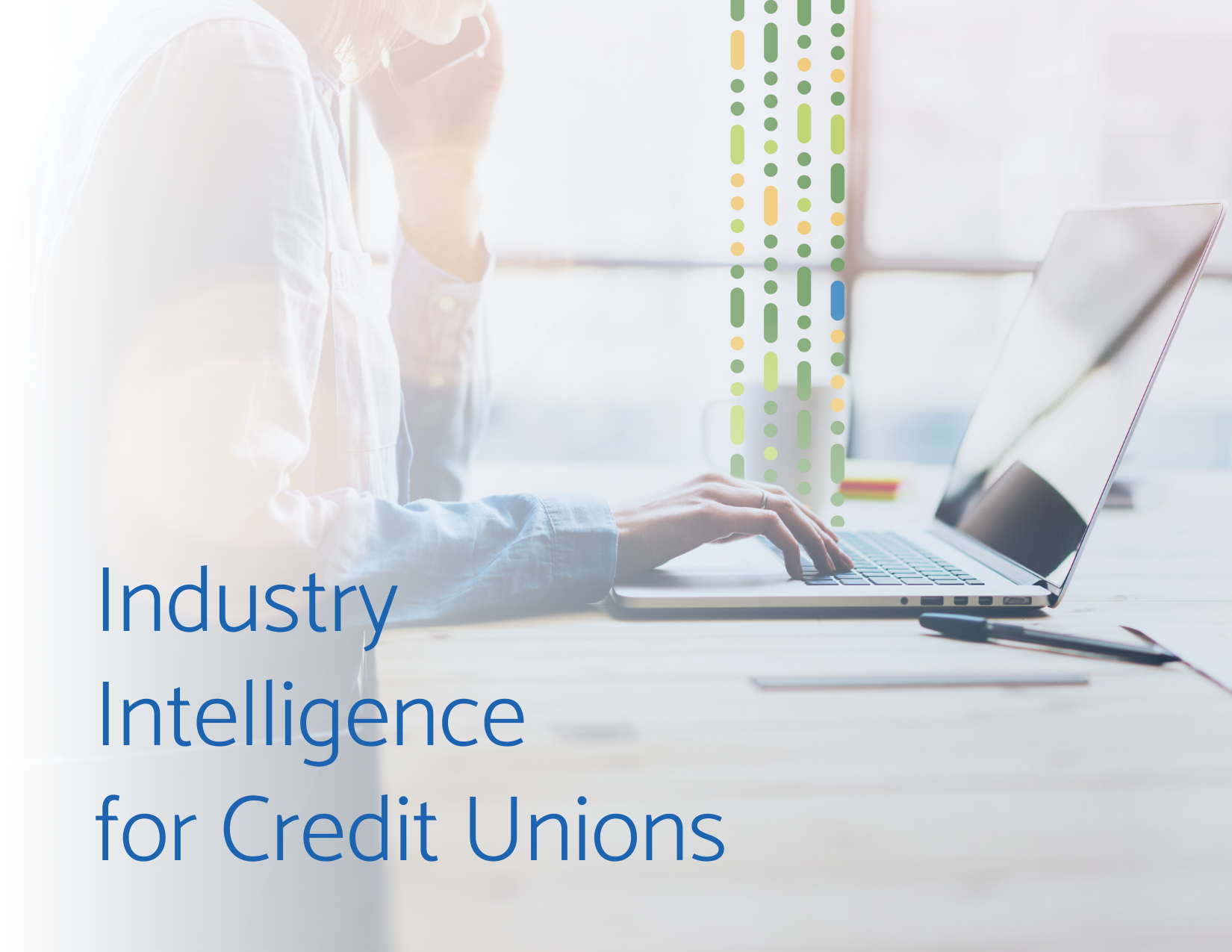 Data sheet for Credit Unions
